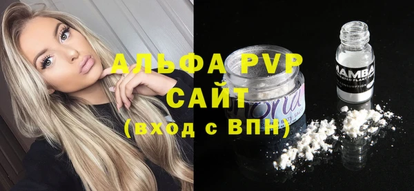 спайс Арсеньев